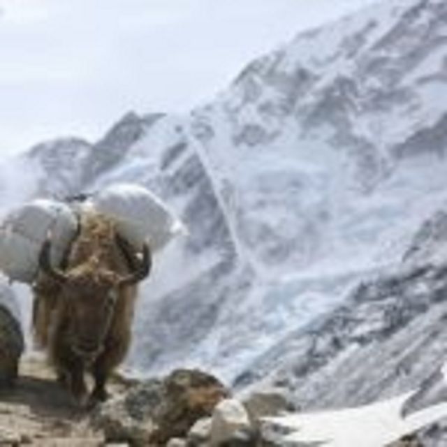 Everest Base Camp - Exploring Kathmandus Must-See Attractions