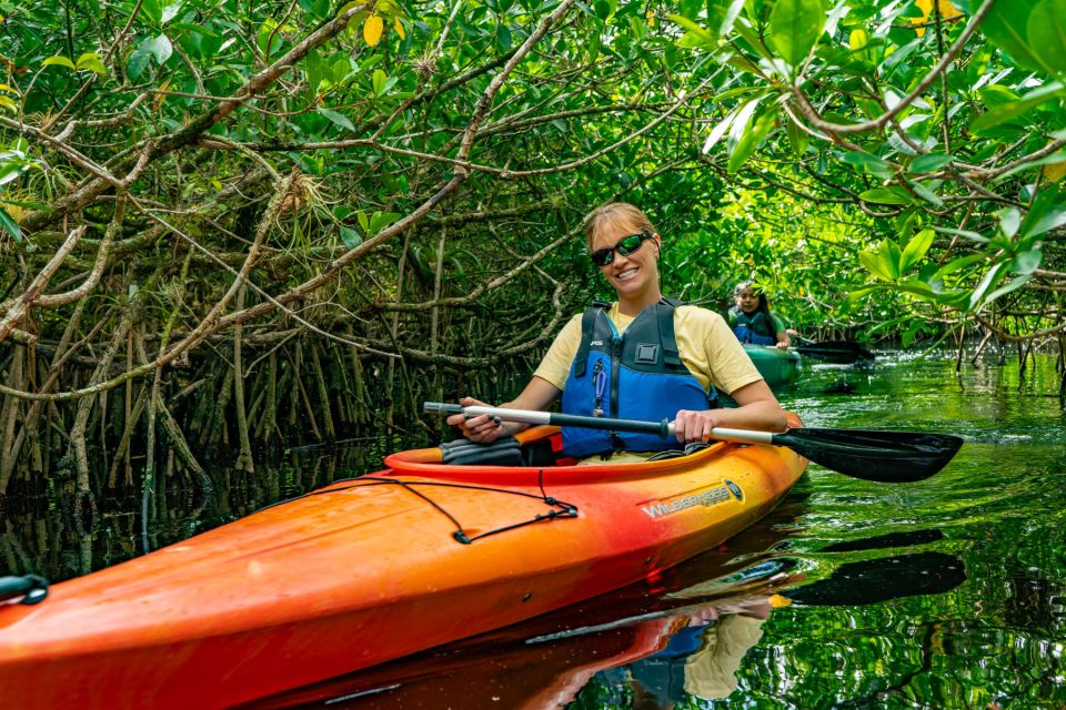 Everglades: Guided Kayak and Airboat Tour - Experience Highlights