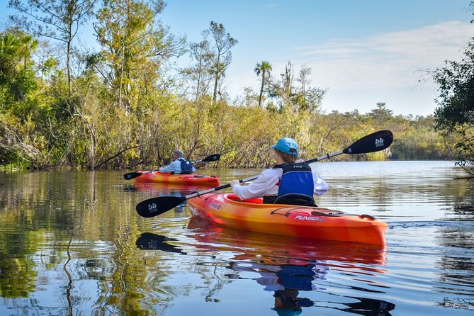 Everglades Guided Kayak Tour - Pricing Information