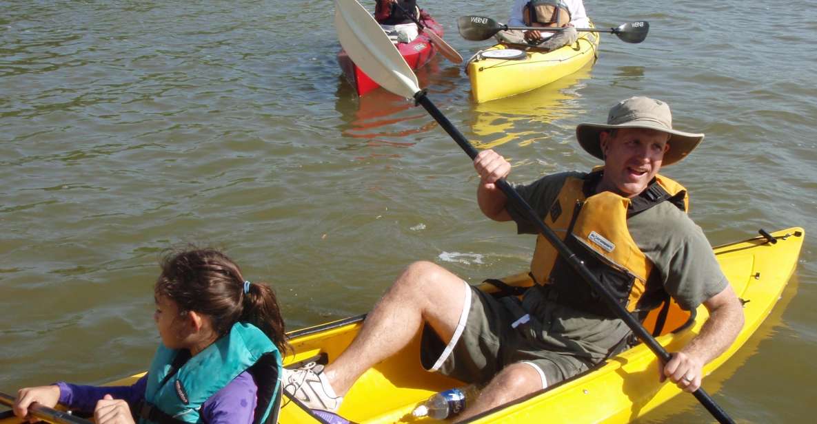 Everglades National Park 3-Hour Kayak Eco Tour - Experience Highlights