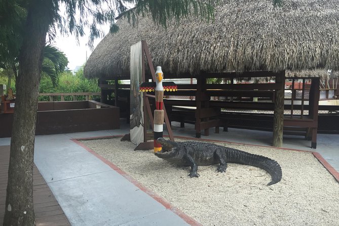 Everglades Tour From Miami With Transportation - Experience Highlights and Wildlife Encounters