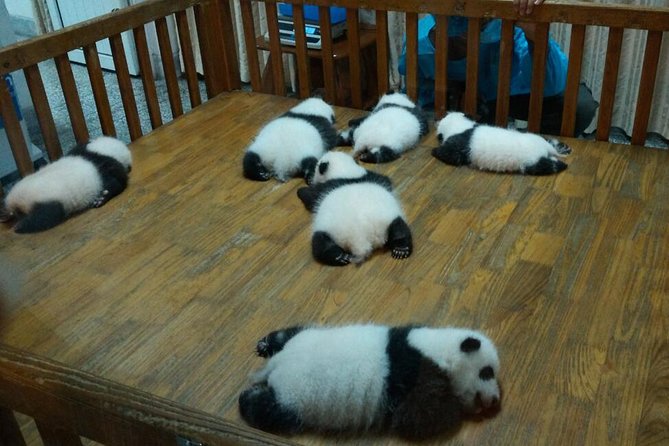 Everything Panda Private Day Tour in Chengdu - Pricing and Booking