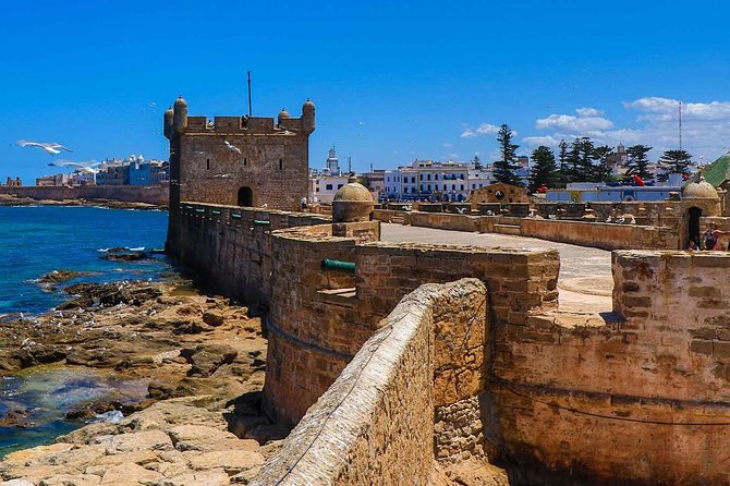Excursion Essaouira From Marrakech - Transportation and Tour Experience Insights