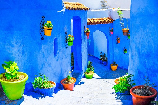 Excursion to Chefchaouen and Tetouan From Tangier - Guide and Driver Experience