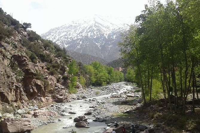 Excursion to the Valley of Ourika Atlas Mountain and Berber Villages - Customer Support Details