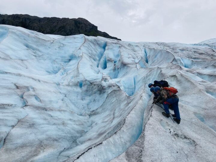 Exit Glacier Ice Hiking Adventure From Seward - Experience Highlights and Wildlife Viewing