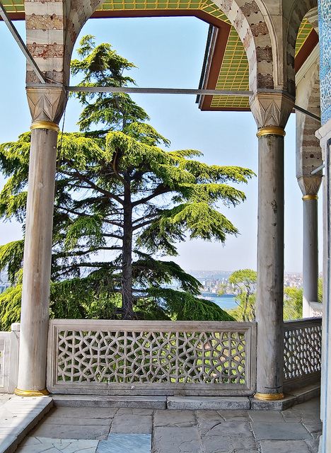 Experience Istanbul: Topkapi Palace Half-Day Guided Tour - Key Features