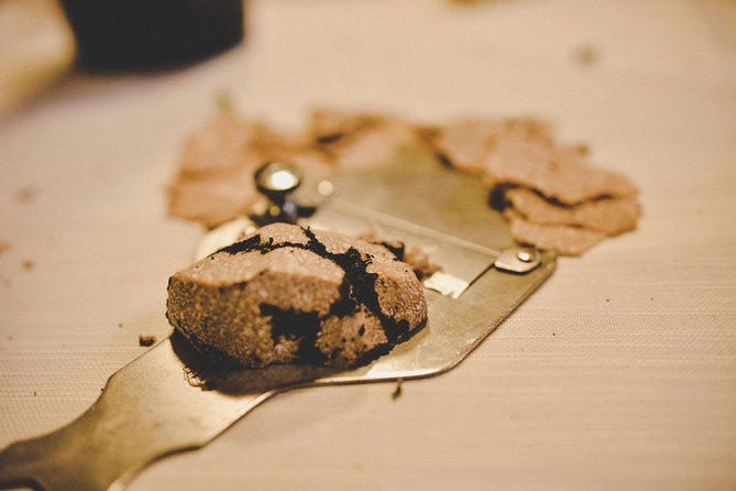 Experience Tuscan Truffle Hunting With Wine and Lunch - Oak Forest Exploration With Dogs
