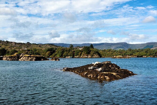 Explore Cape Clear Island Departing From Schull - Self-Guided - Start Time Policy