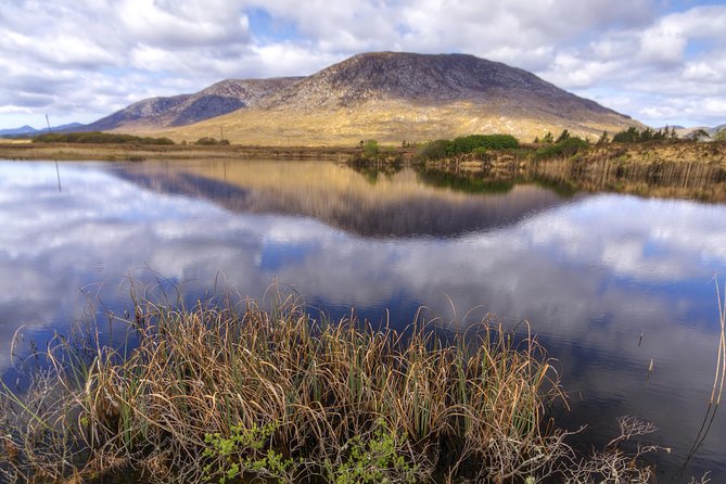Explore Connemara National Park. Self-Guided With Transport From Galway - Exhibition on Connemara Landscape