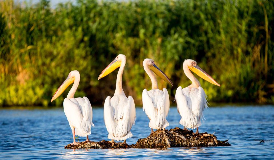 Explore Danube Delta and Black See in 2 Day Private Tour - Tour Highlights