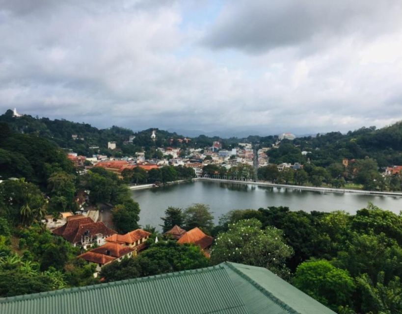 Explore In Kandy With Lesley - Tea Plantation Visit Details