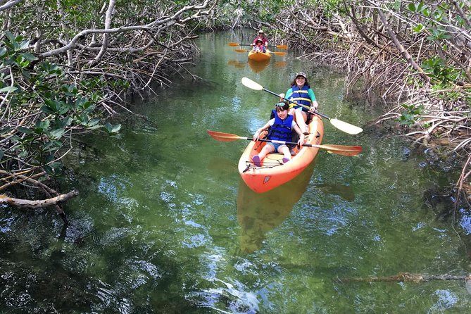 Explore Mangrove Creeks With an All Day Sup/Single Kayak Rental - Rental Options