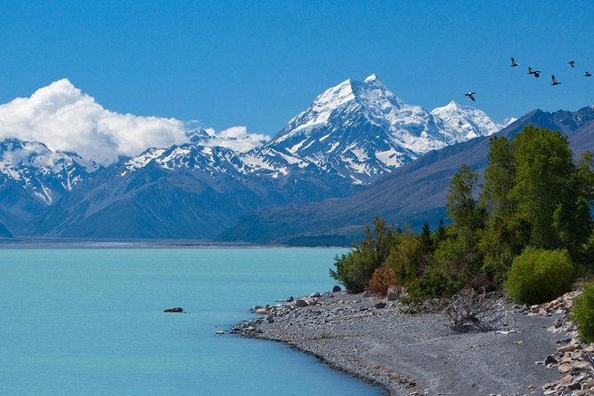 Explore Mount Cook From Christchurch - Traveler Experiences