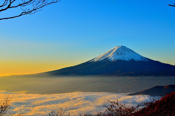 Explore Mt. Fuji, Hakone and Lake Ashi in a Day by Private Car - Customer Experiences and Feedback