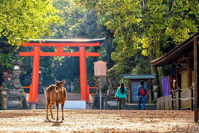 Explore the Best Spots of Arashiyama / Nara in a One Day Private Tour From Kyoto - Tenryu-ji Temple