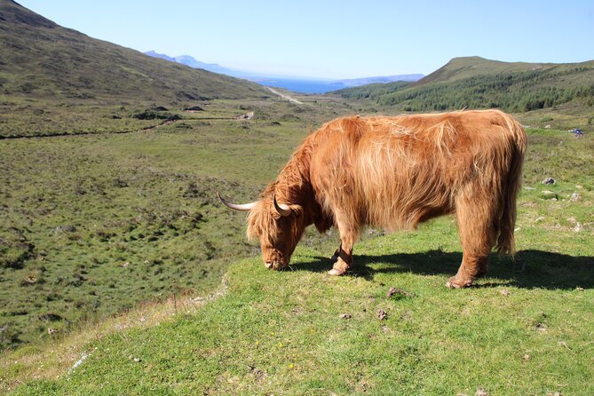 Explore the Isle of Skye in a Full Day Tour - Inclusions