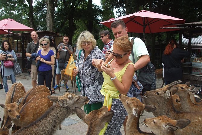 Exploring Nara - Insider Tips for Exploring Nara