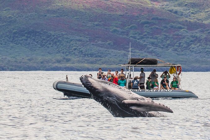 Eye-Level Whale Watching Eco-Raft Tour From Lahaina, Maui - Cancellation and Refund Policies
