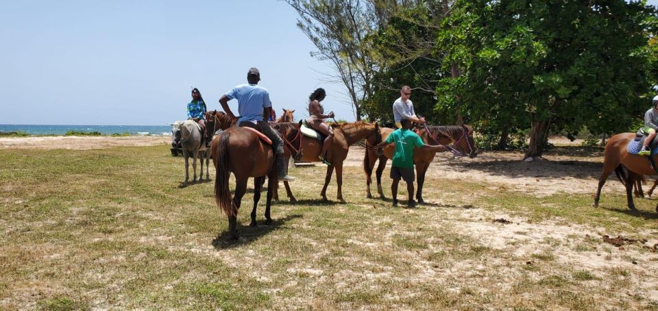 Falmouth/Montego Bay: River Tubing & Beach Ride on Horseback - Duration and Cancellation Policy