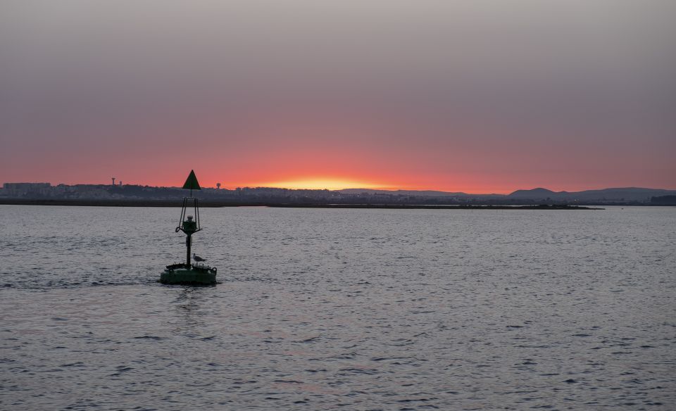 Faro: Ria Formosa Guided Sunset Tour by Catamaran - Pricing and Booking Information