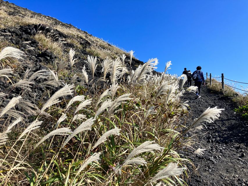 Feel the Volcano by Trekking at Mt.Mihara - Booking Information