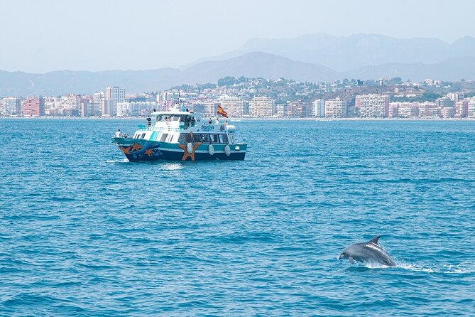 Ferry From Benalmádena to Fuengirola - Meeting and Pickup Information