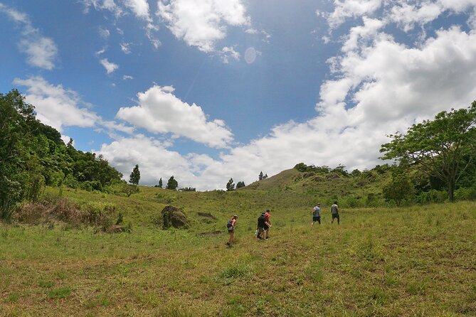Fiji Private Hiking Tour (Mar ) - Tour Details and Policies