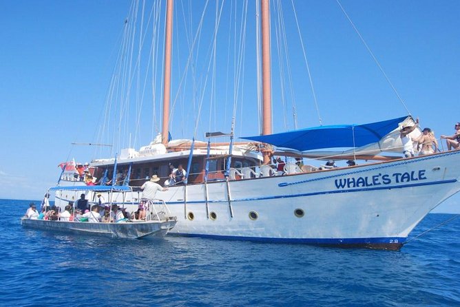 Fijian Islands and Snorkel Full-Day Whales Tale Cruise Including Beach BBQ Lunch - Additional Information