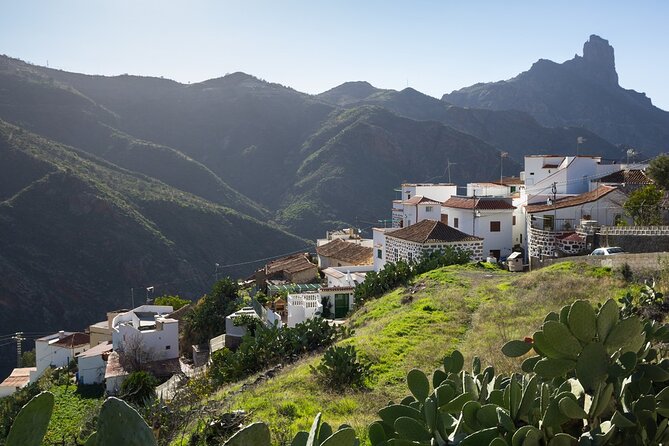 Firgas, Tejeda, Guayadeque - VIP Tour Gran Canaria - Guayadeque Excursion Highlights