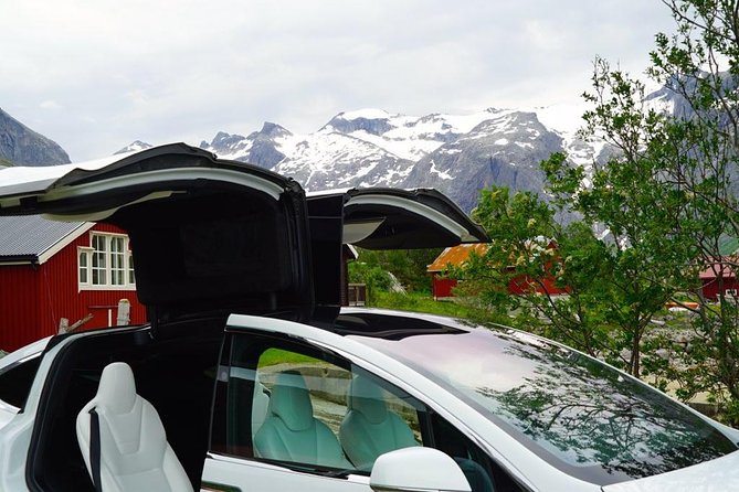 Fjord Sightseeing - Eco Friendly Tesla Model X - Accessibility and Group Size