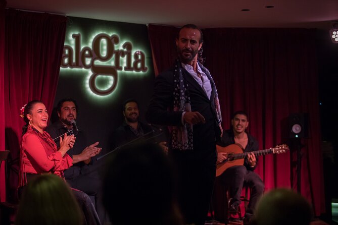 Flamenco Passion in Málaga: Show With Optional Tasting - Traveler Photos and Reviews