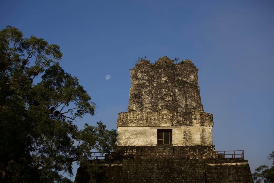 Flores: 1-Day Tikal Tour Private Service From Your Hotel - Pickup and Departure Flexibility
