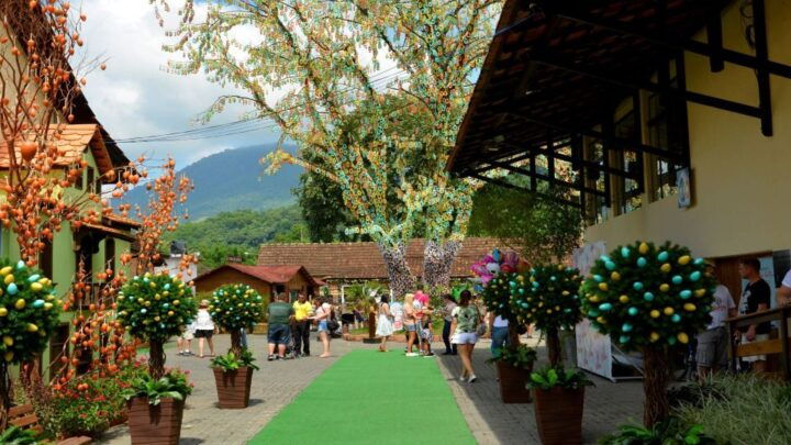 Florianópolis: Blumenau and Pomerode Germanic Route Day Trip - Duration and Guide Information