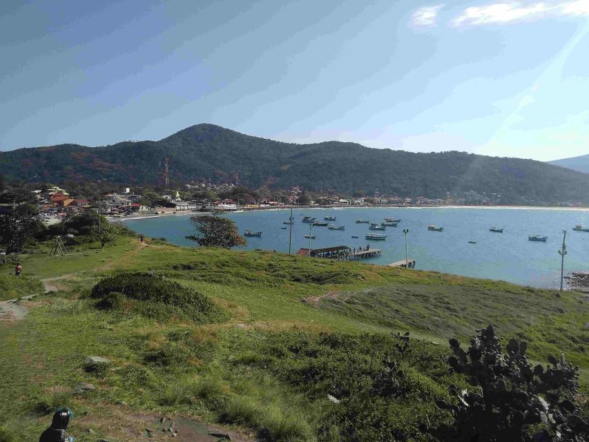 Florianópolis: Tropical Island Panoramic Tour - Tour Details and Inclusions