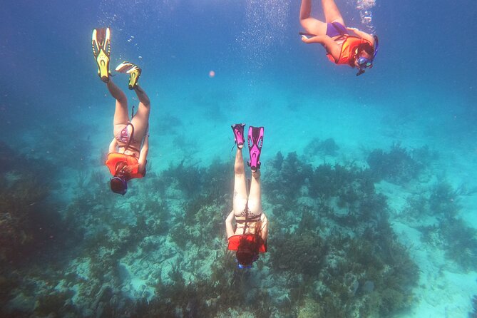 Florida Keys Snorkeling Adventure (Mar ) - Participant Requirements and Restrictions