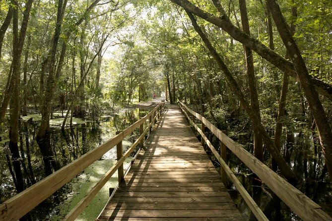 Florida Manatees, Nature Park, and Airboat Tour From Orlando (Mar ) - Tour Highlights