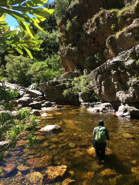 Fly Fishing in Cape Town - Responsible Fishing Practices Emphasized