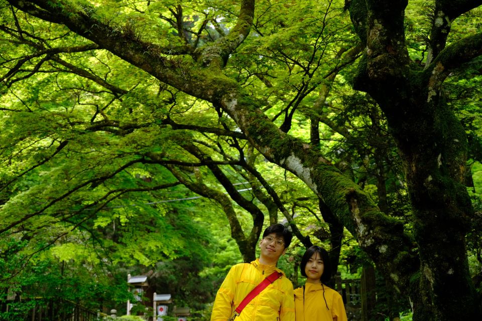 Fm Odawara: Forest Bathing and Onsen With Healing Power - Forest Bathing Benefits
