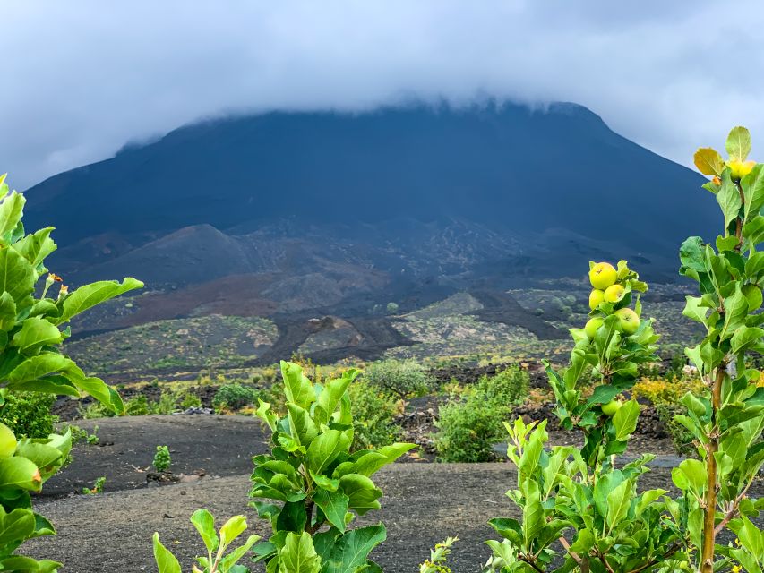 Fogo Island: Pico Do Fogo Volcano Summit Hike - Experience Highlights