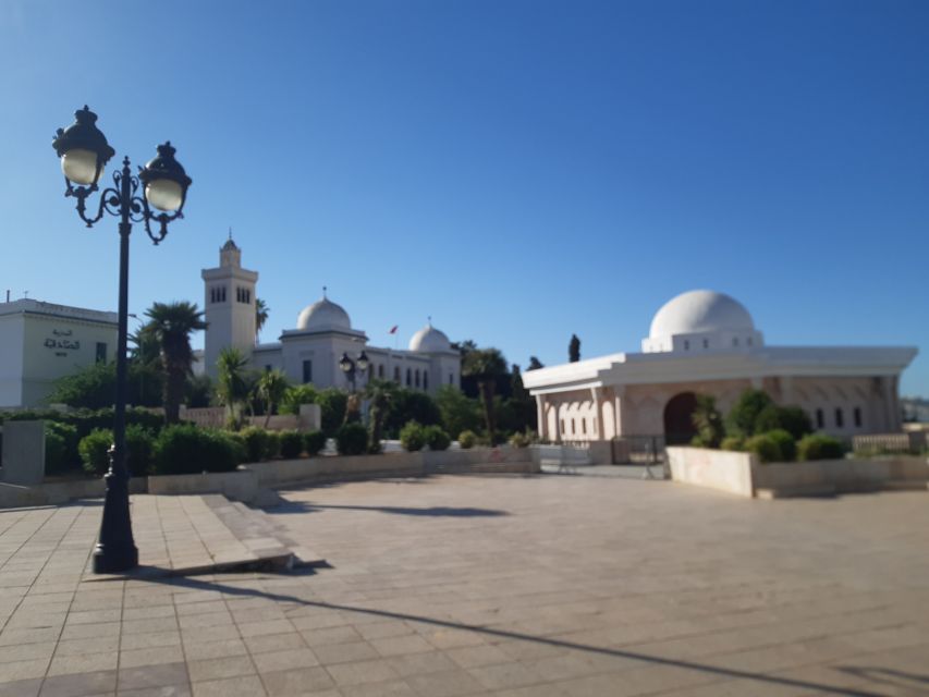For 1 Day, Medina, Sidibousaid, Carthage, Bardo Museum - Medina Exploration and Insights