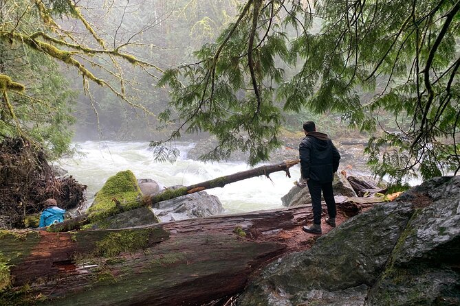 Forest Hike to Gorgeous Twin and Snoqualmie Falls - Sightseeing Highlights