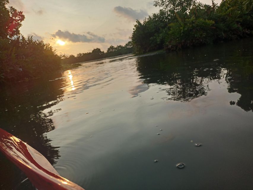 Fort Kochi Sightseeing on Tuk Tuk / Car & Backwater Kayaking - Experience Highlights