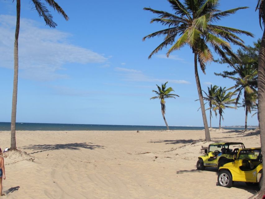 Fortaleza: Cumbuco Beach Day Trip - Experience Highlights