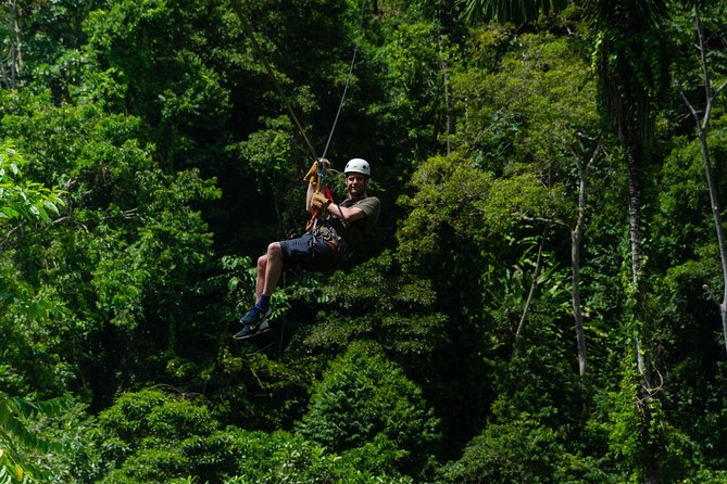 Four-Hour Zip Line Tour Through the Rainforest and Platforms  - Limon - Adventure Highlights