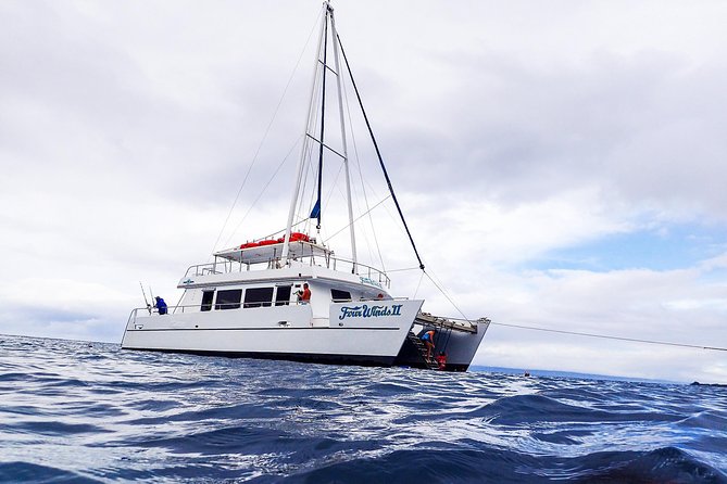 Four Winds II Molokini Snorkeling Tour From Maalaea Harbor - Experience Highlights
