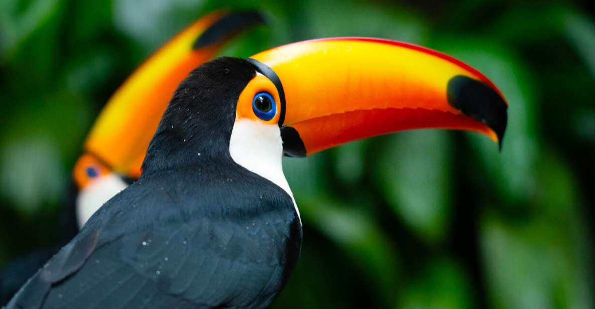 Foz Do Iguaçu: Bird Park Tour With Tickets - Booking and Payment Options