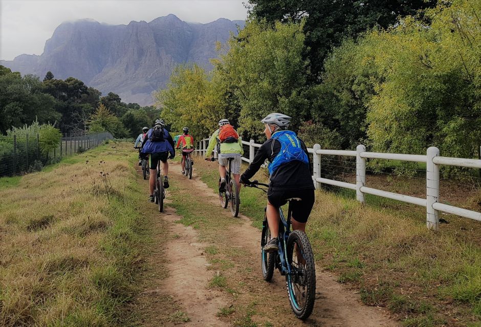 Franschhoek: E-Bike Tour With Wine Tasting and Lunch - Experience Highlights