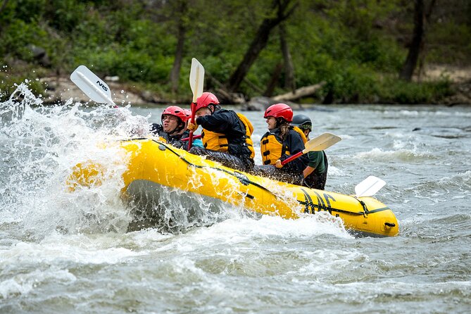 French Broad Gorge Whitewater Rafting Trip - Trip Expectations