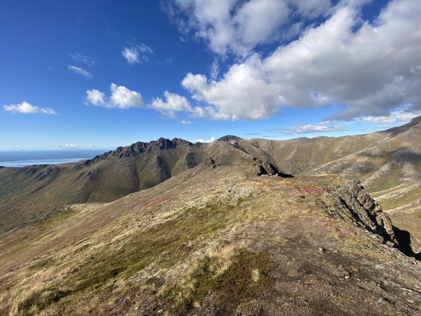 From Anchorage: Chugach State Park Guided Alpine Trek - Experience Highlights